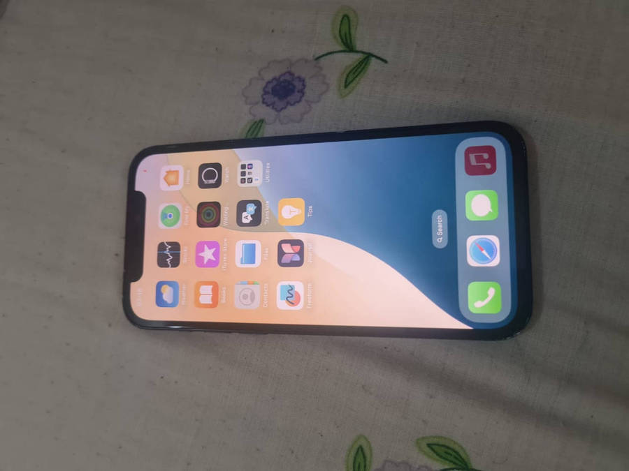 iPhone 12