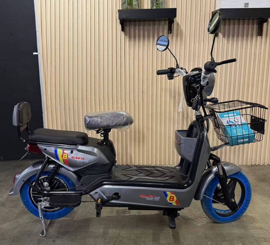 48V Electric Bike