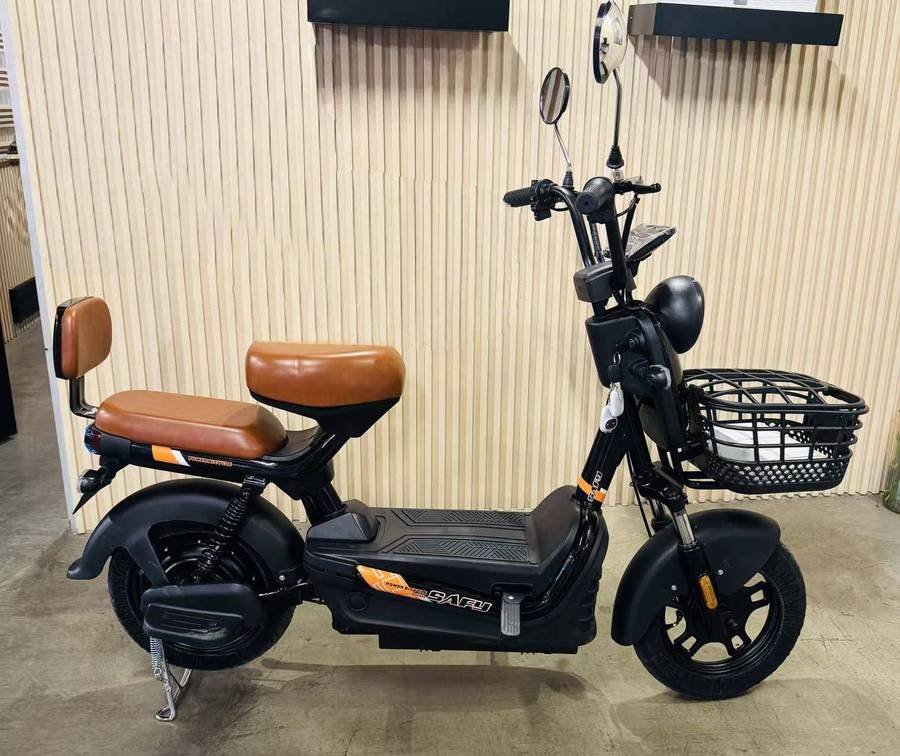 48V Electric Bike