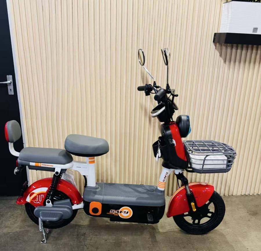48V Electric Bike