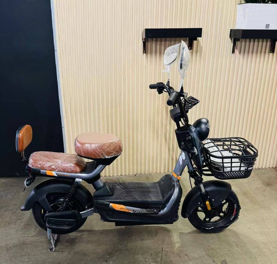 48V Electric Bike