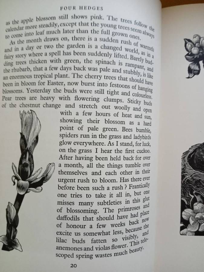 Four Hedges:  Clare Leighton 1935 1st Edition-A Gardener's Chronicle With 88 Wood Engravings