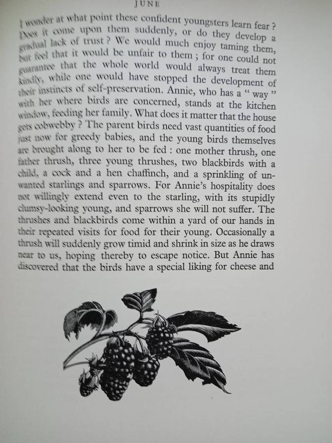 Four Hedges:  Clare Leighton 1935 1st Edition-A Gardener's Chronicle With 88 Wood Engravings