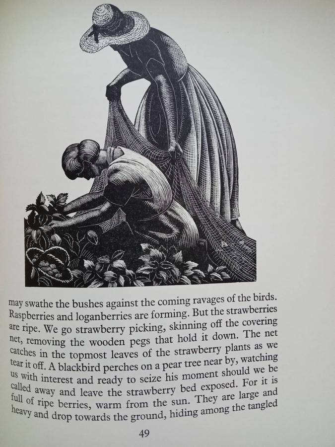 Four Hedges:  Clare Leighton 1935 1st Edition-A Gardener's Chronicle With 88 Wood Engravings