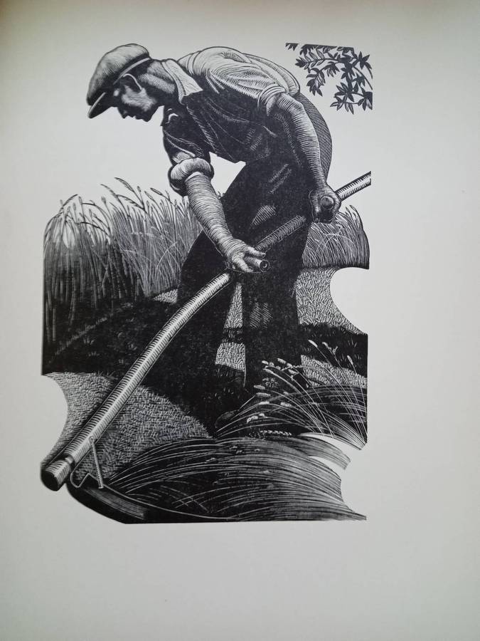 Four Hedges:  Clare Leighton 1935 1st Edition-A Gardener's Chronicle With 88 Wood Engravings