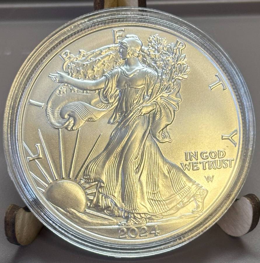 USA one dollar (1Oz Fine Silver)