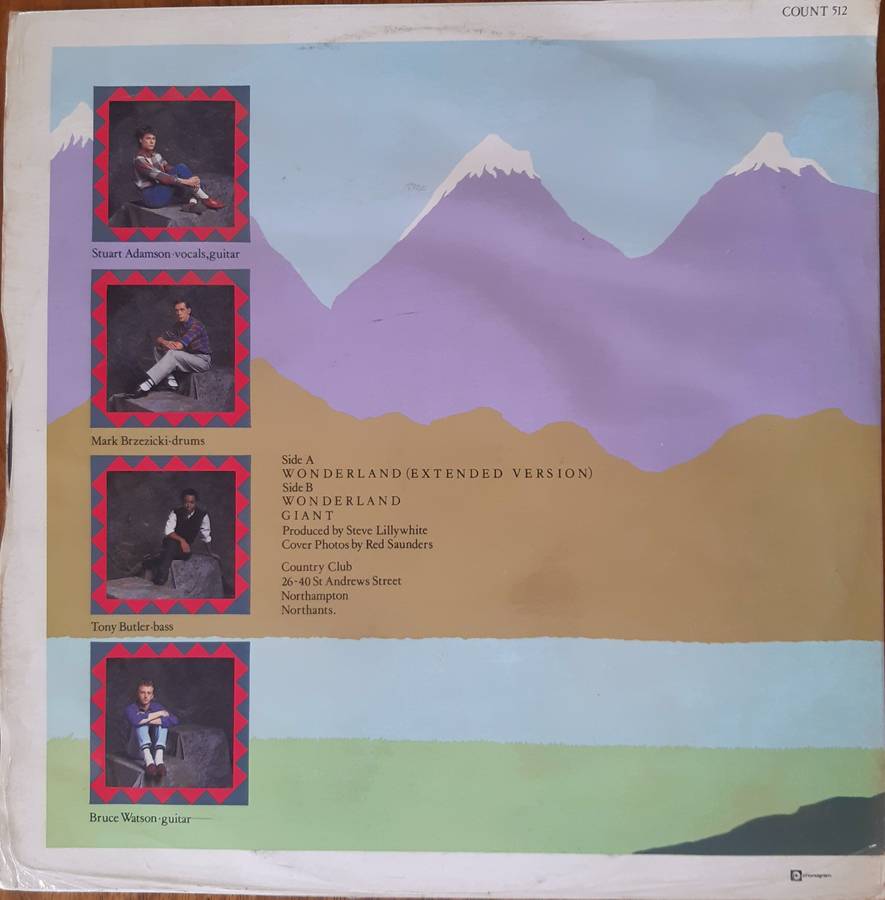 Wonderland - Big Country - Vintage VInyl Lp Record