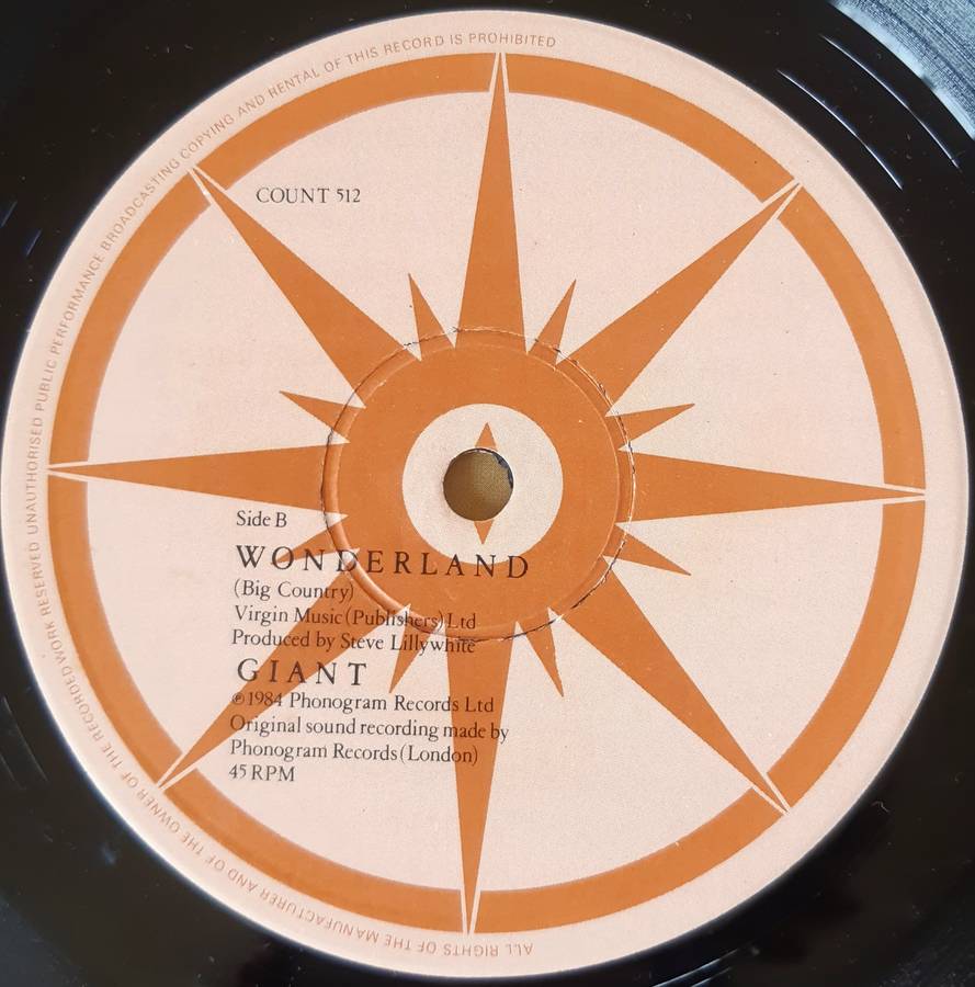 Wonderland - Big Country - Vintage VInyl Lp Record