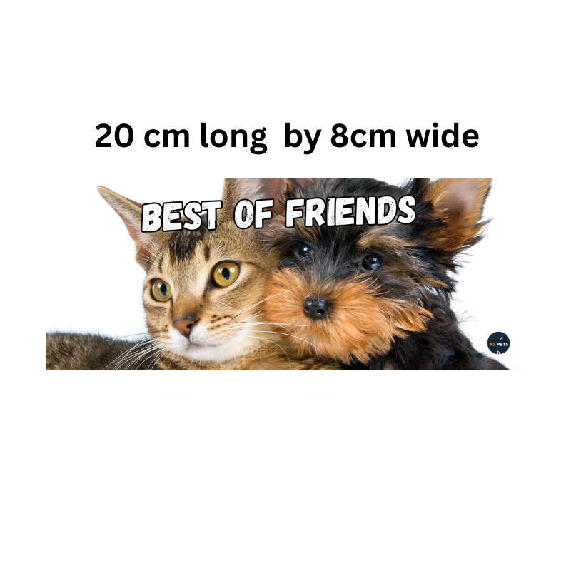 Reptile Cage Sign - "Best of friends"