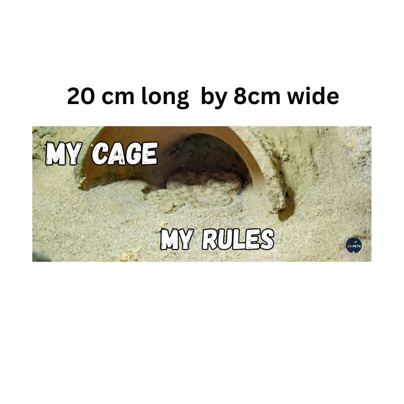 Reptile Cage Sign - "My Cage ,My Rules"