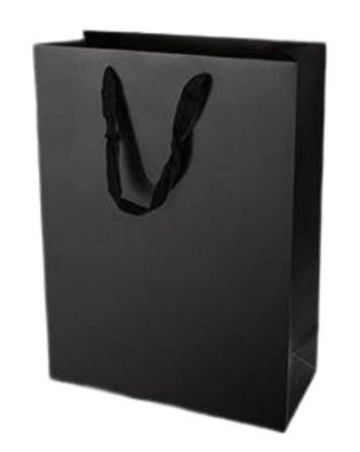 Premium Paper Gift Bags (12 Pack) -M(20*9.5*28CM) - Black