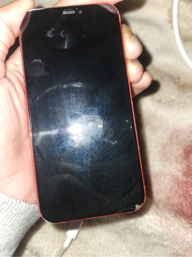 iPhone 12 Mini(256GB)