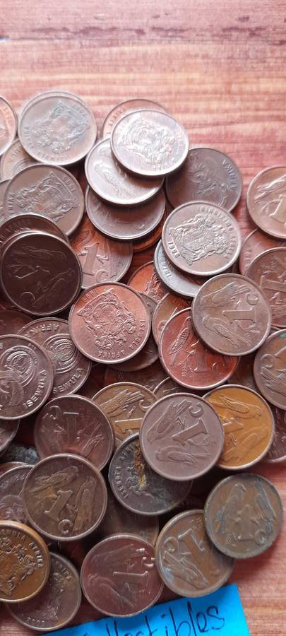 100 South African 3rd Decimal 1cent Coins . 1 bid Takes All.