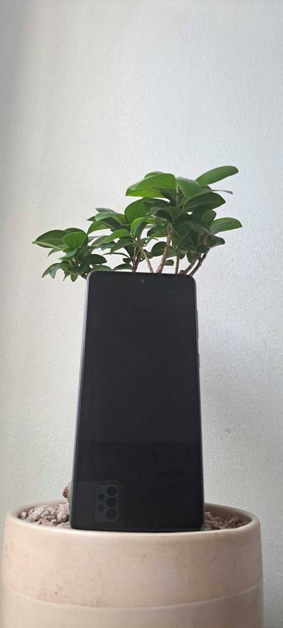 Samsung Galaxy A73 5G