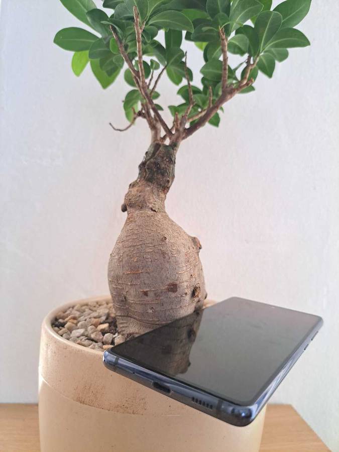 Samsung Galaxy S20 FE 5G