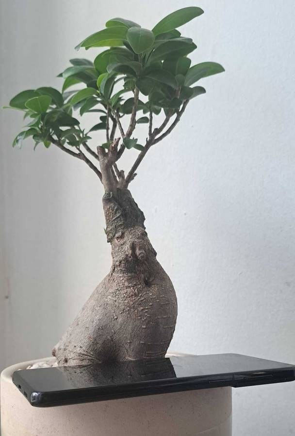 Samsung Galaxy S21 Plus 5G