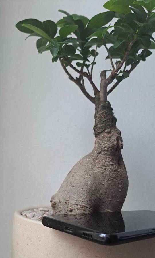 Samsung Galaxy S21 Plus 5G