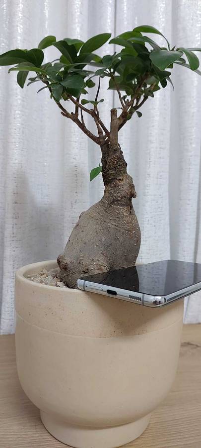 Samsung Galaxy S21 Plus 5G