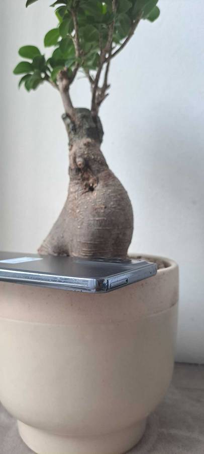 Samsung Galaxy A73 5G