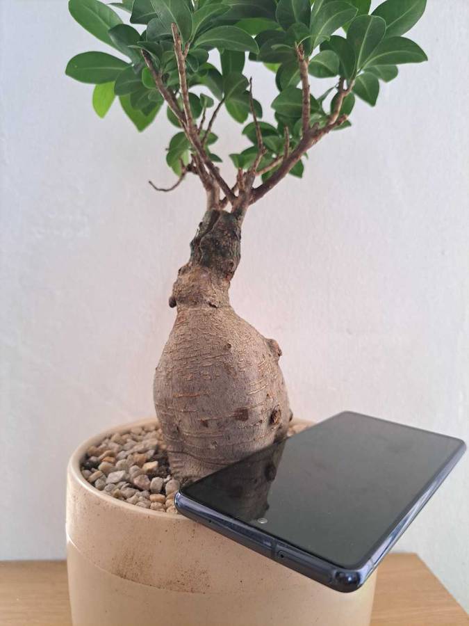 Samsung Galaxy S20 FE 5G