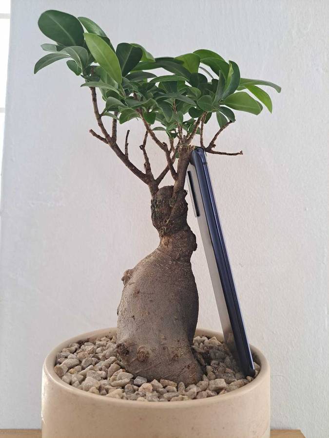 Samsung Galaxy S20 FE 5G