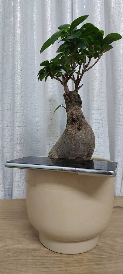 Samsung Galaxy S21 Plus 5G