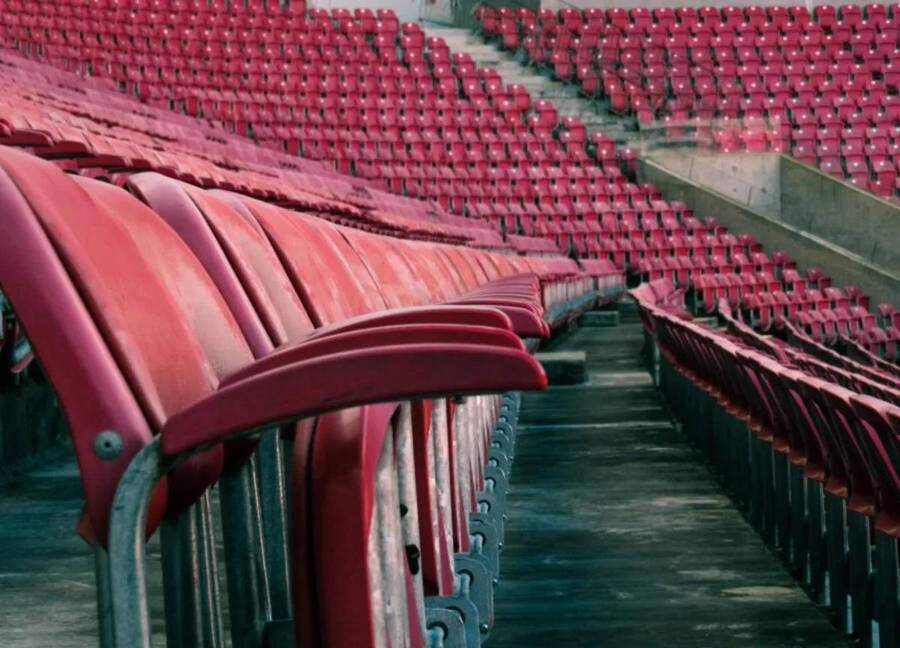 NEW CANON SX520HS Digital Bridge camera