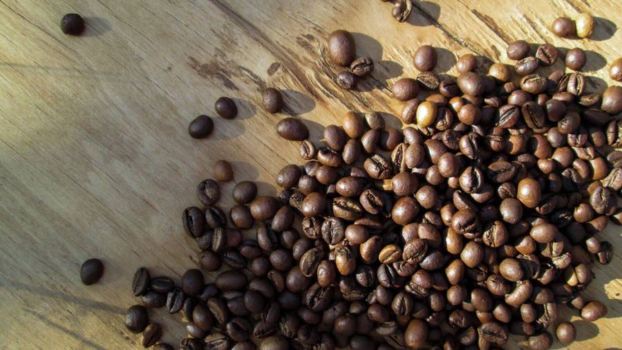 CANON POWERSHOT A810 DIGITAL CAMERA (SIMILAR TO IXUS MODELS)