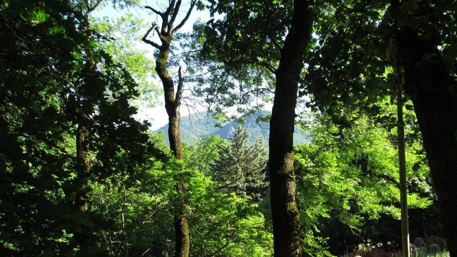 CANON POWERSHOT A810 DIGITAL CAMERA (SIMILAR TO IXUS MODELS)