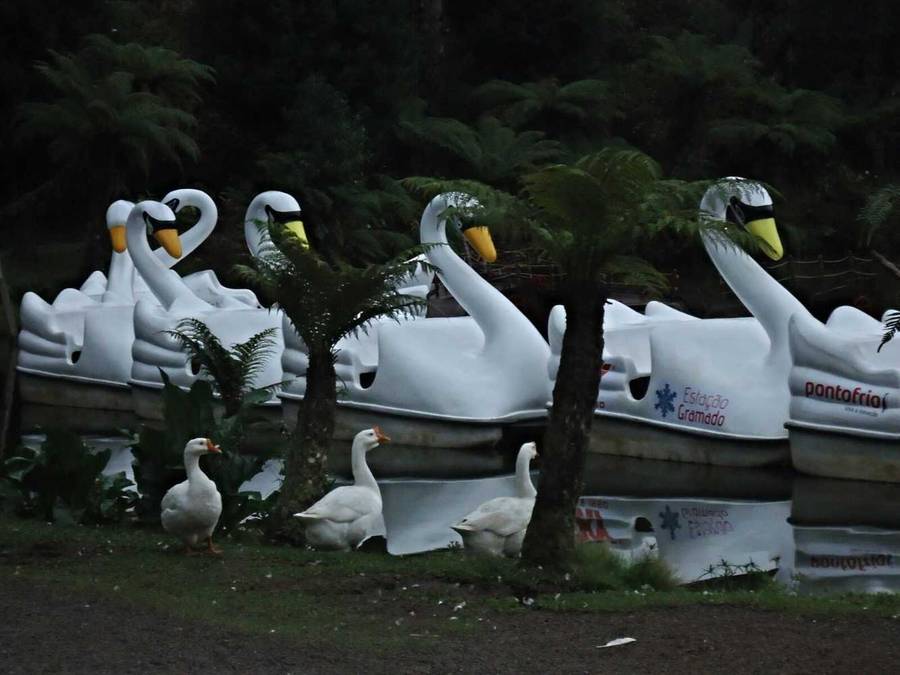 Sony DSC W610 Digital camera bundle