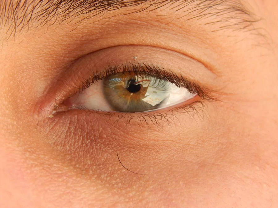 PRISTINE NIKON COOLPIX L830 BRIDGE CAMERA