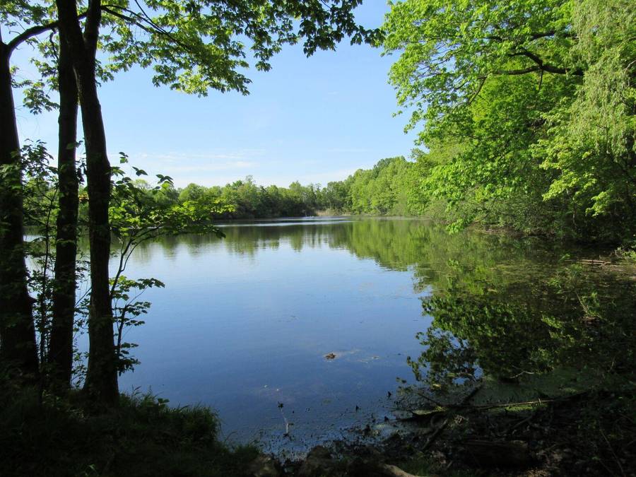 NEW CANON SX520HS Digital Bridge camera