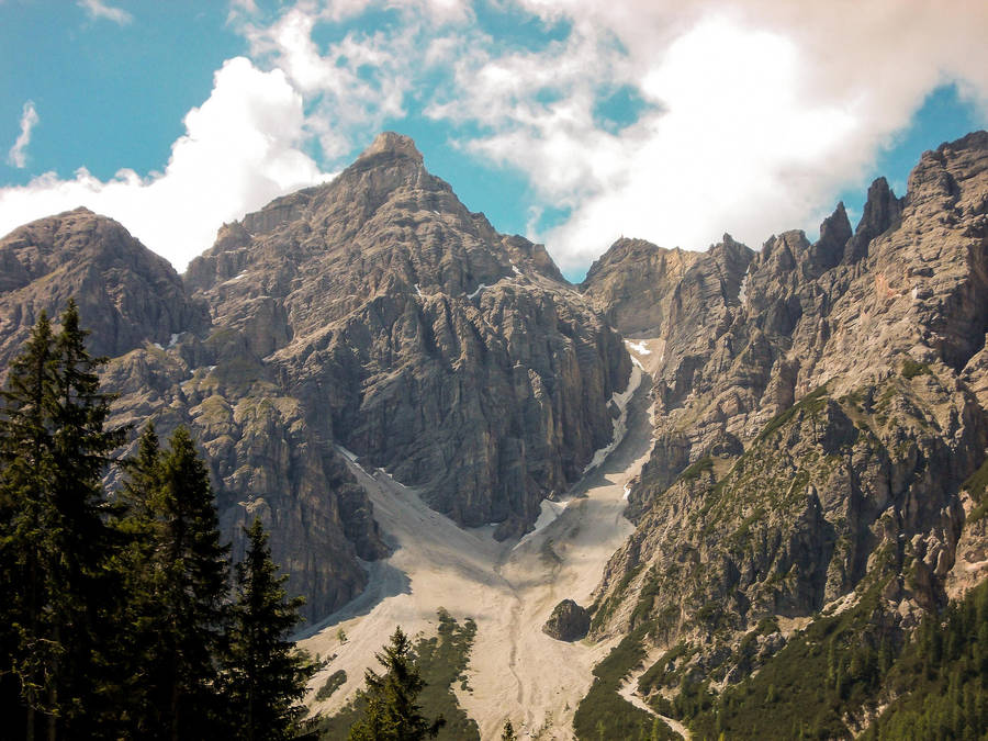 NIKON COOLPIX L25 DIGITAL CAMERA