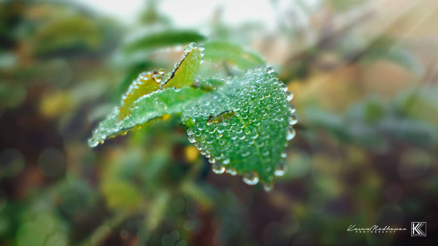 SAMSUNG DV150F DIGITAL CAMERA