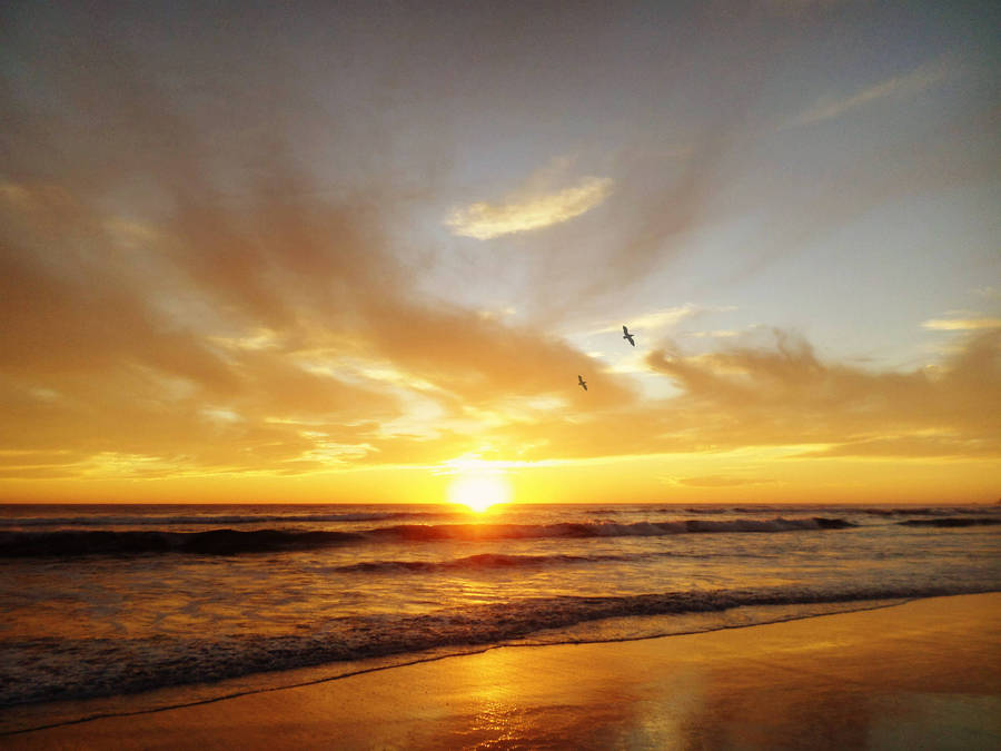 SAMSUNG DV150F DIGITAL CAMERA