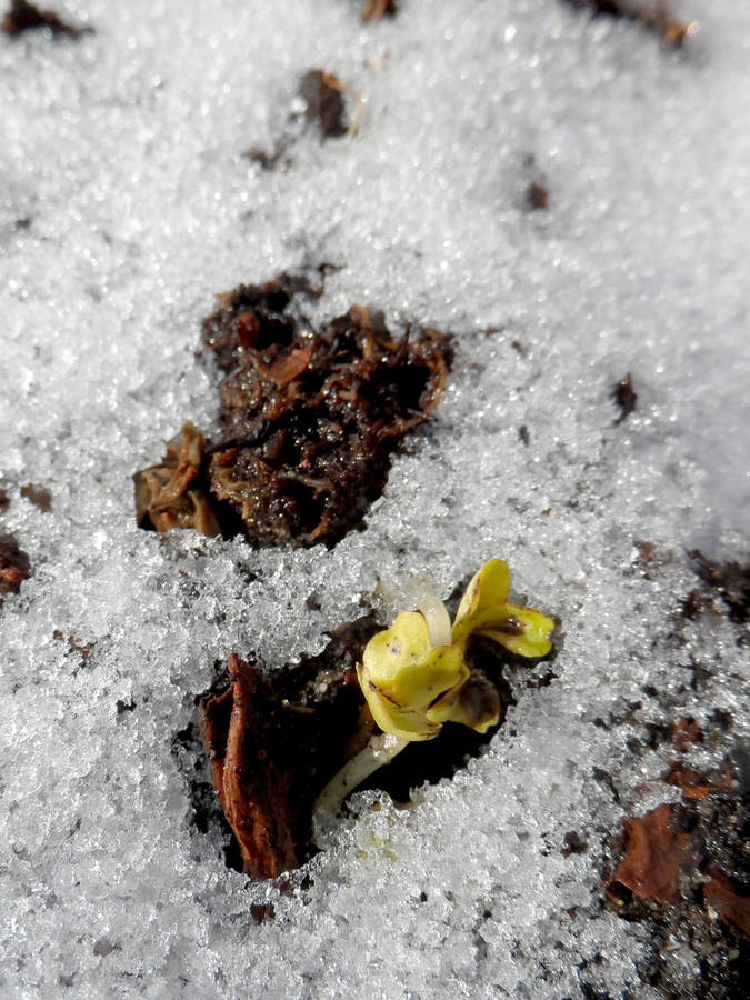 Samsung WB150F DIGITAL CAMERA