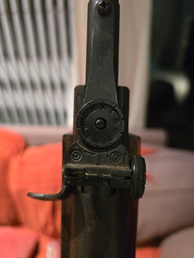 pellet gun and scope