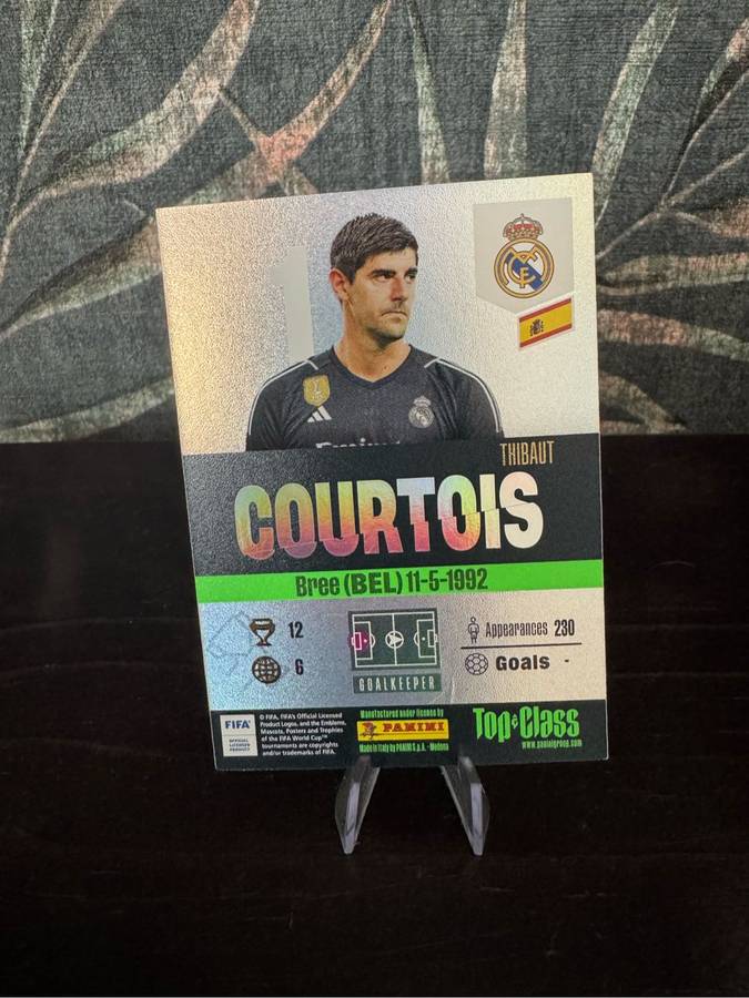 Real Madrid Bundle (Vini Jr,Tchoumeni, Zidane, Gutiérrez, Courtois & Rodrygo)