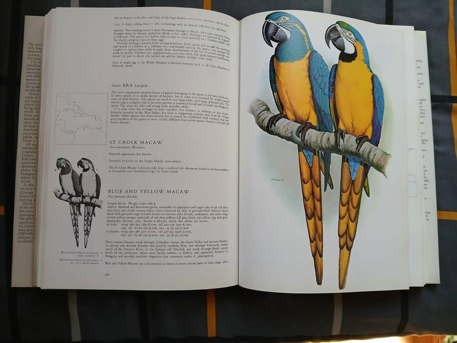 PARROTS OF THE WORLD