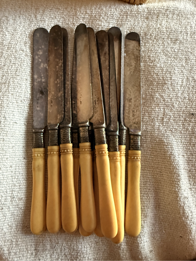 Silver plated bone handle cutlery set