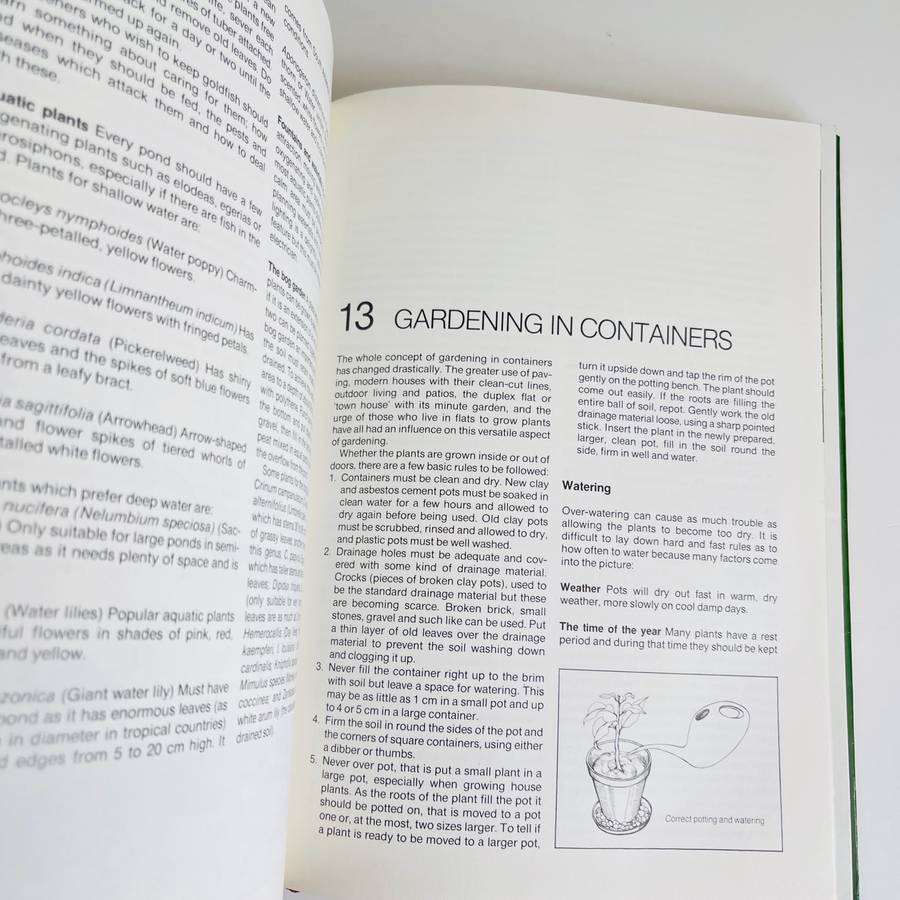 Gardening in South Africa by Zoe Gilbert