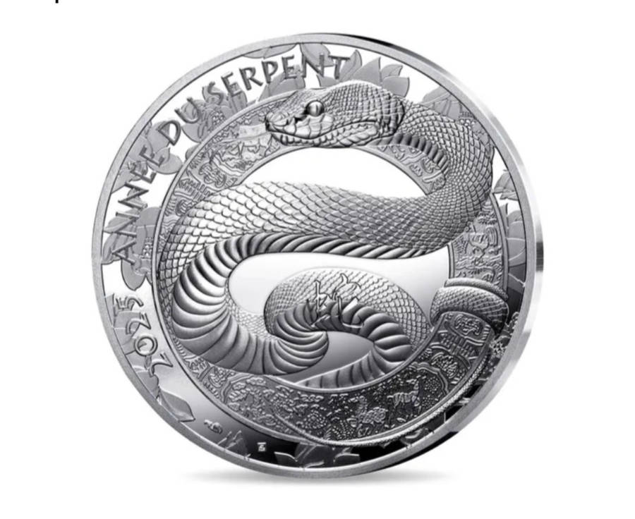 Year of the snake10 Silver Coin - Proof 2025