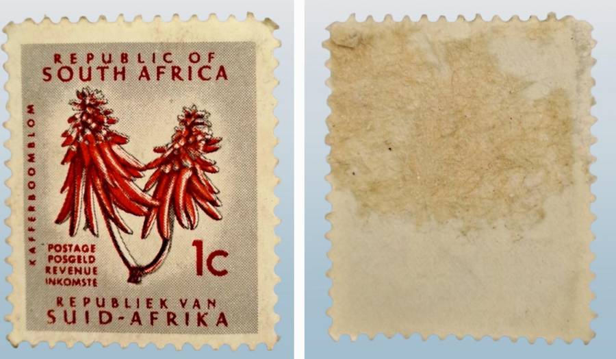 1961-69 SOUTH AFRICA DEFINITIVE ISSUE -1c Flora