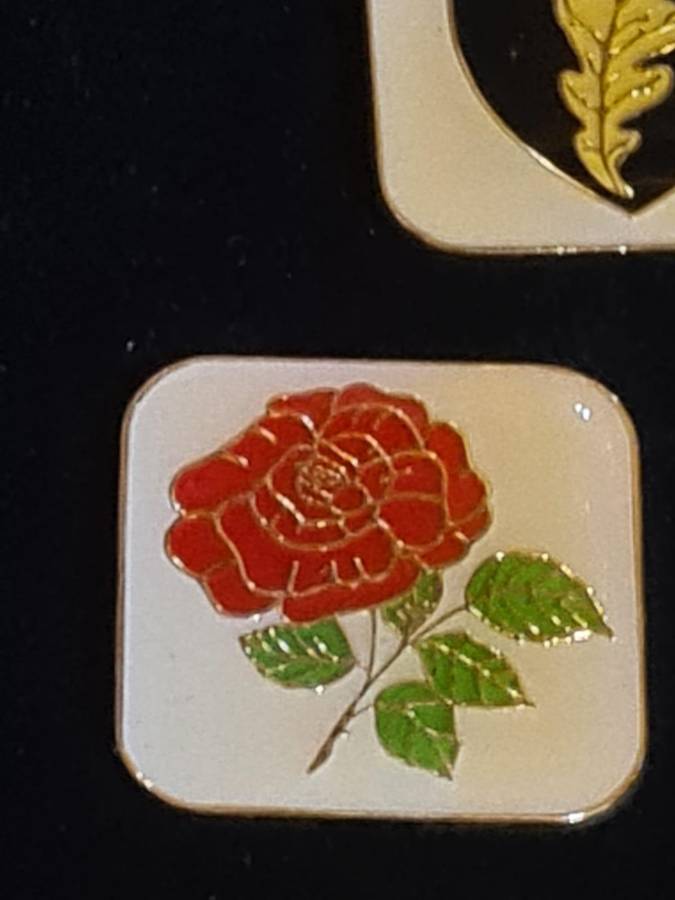 17 collectible rugby pins