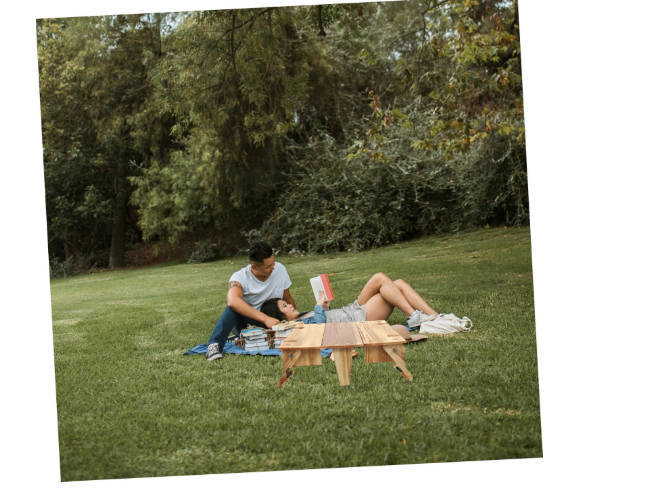 Portable Picnic & Outdoor Companion