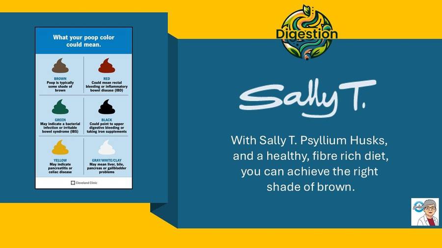 Sally T. Psyllium Husks, 500mg/capsule, 120 capsules. Refined Roughage