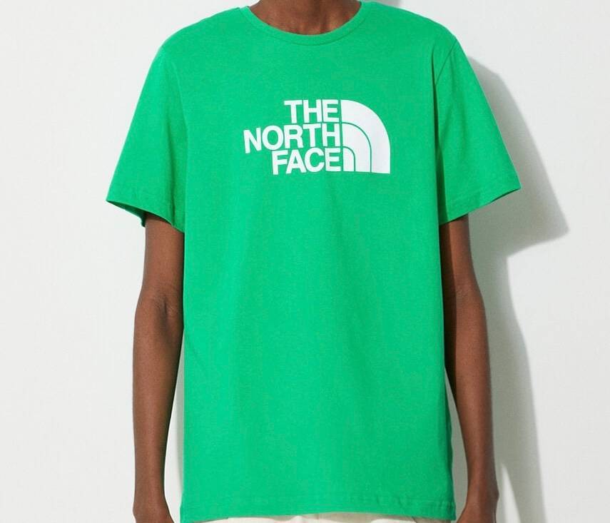 The north face t shirt - mens