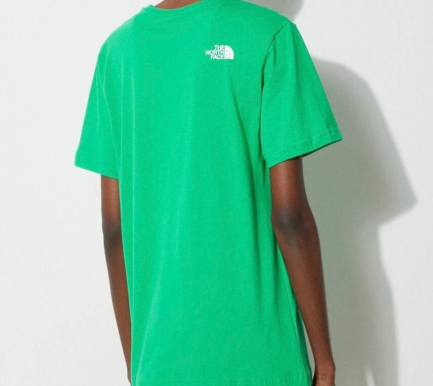 The north face t shirt - mens