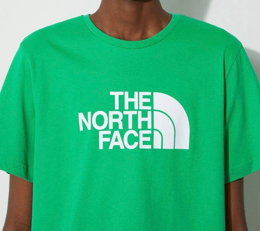 The north face t shirt - mens