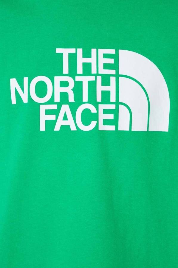 The north face t shirt - mens